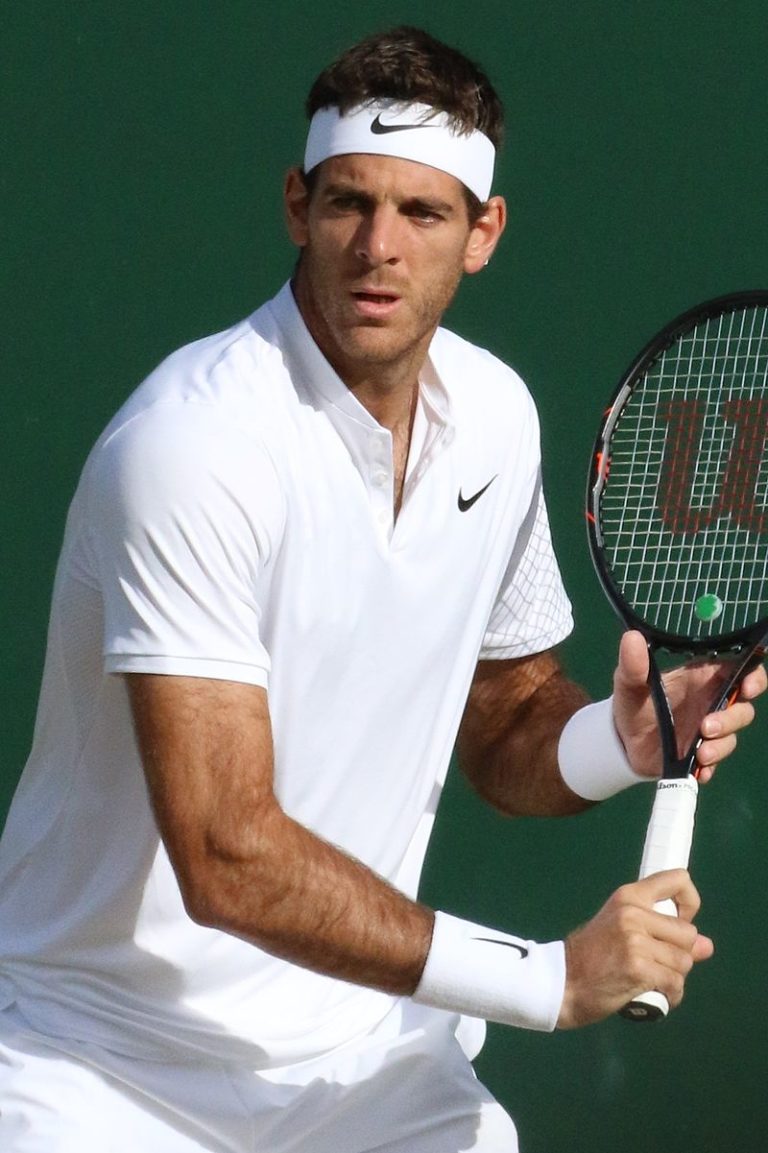 Juan Martin del Potro Bio Age, Real Name, Net Worth 2020 and Partner