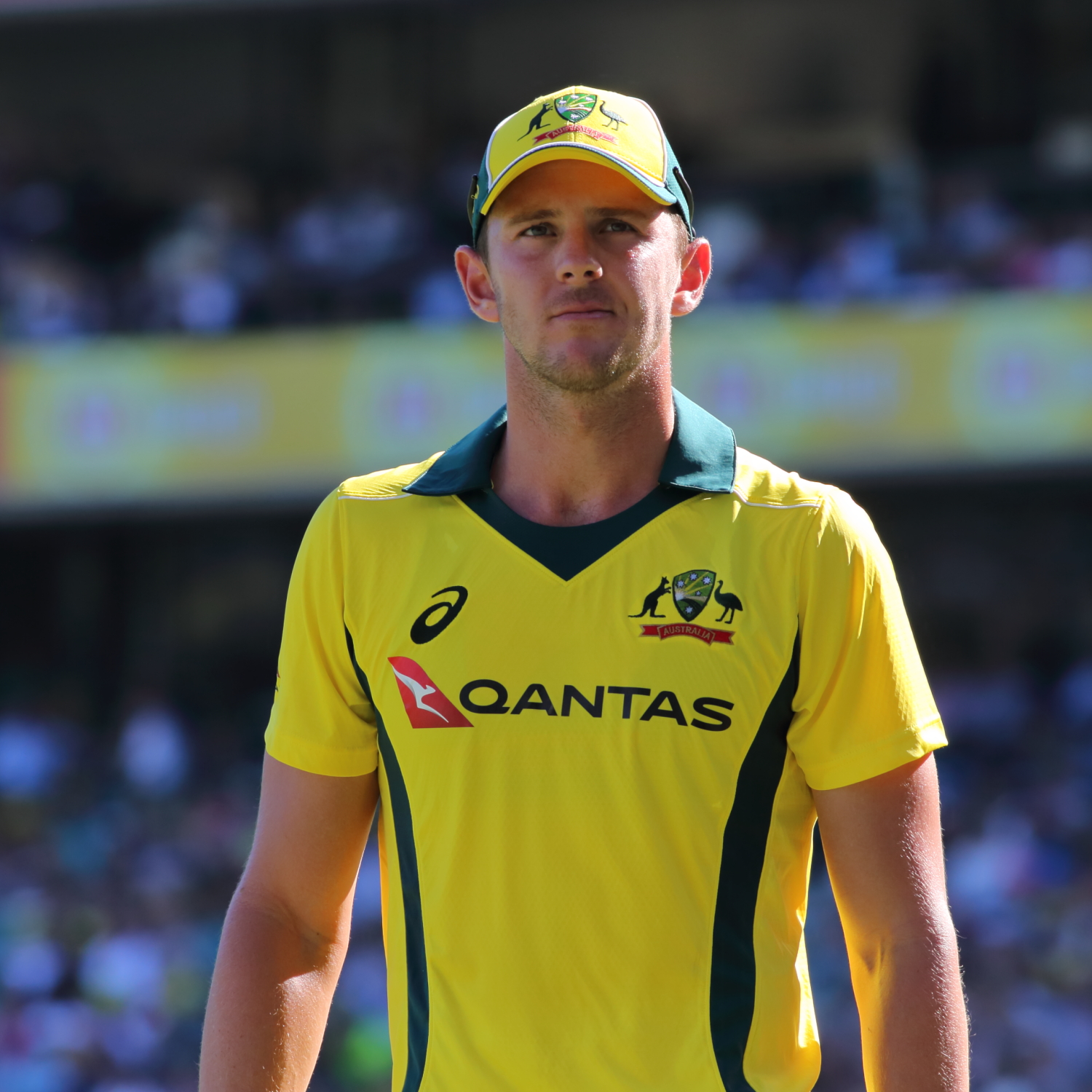 Josh Hazlewood'S Bowling Collapse: A Career Defining Moment? - m74ce24